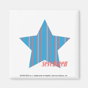 Thin Stripes Aqua 2 Magnet