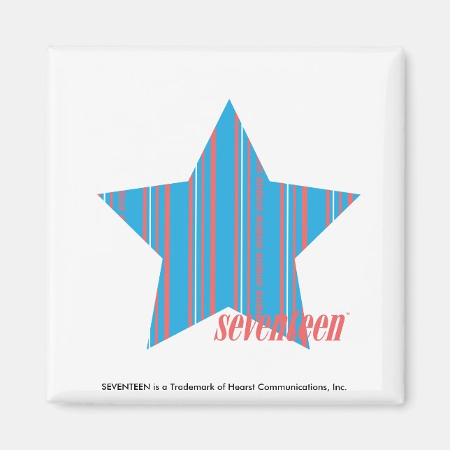 Thin Stripes Aqua 2 Magnet (Front)