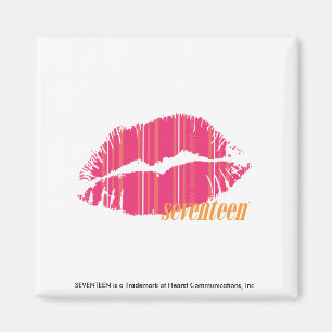 Thin Stripes Magenta Magnet