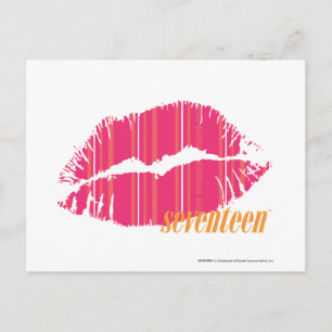 Thin Stripes Magenta Postcard