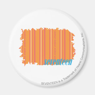 Thin Stripes Orange 2 Magnet