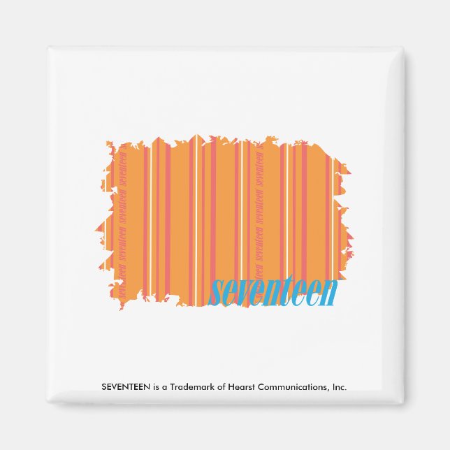 Thin Stripes Orange 2 Magnet (Front)