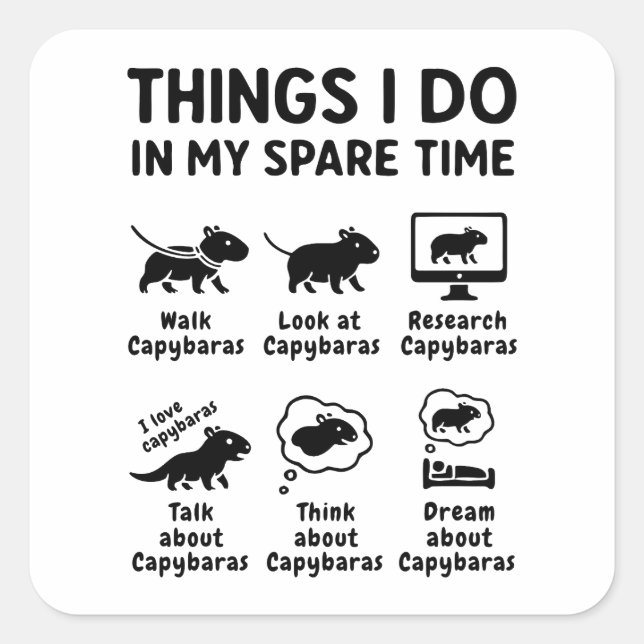 Things I Do In My Spare Time Capybara Funny Pet Square Sticker (Front)