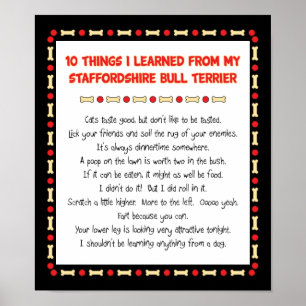 Things I Learned From Staffordshire Bull Terrier Poster