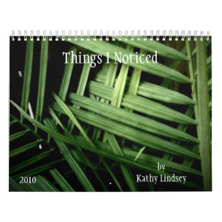 Things I Noticed, by Kathy Lindsey, 2010 Calendar