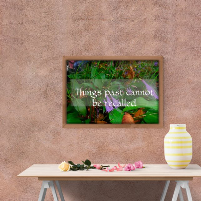 Things past cannot be recalled wisdom poster (Creator Uploaded)