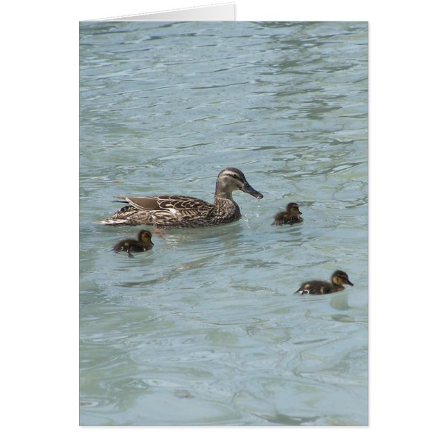 Things That Float (Front)