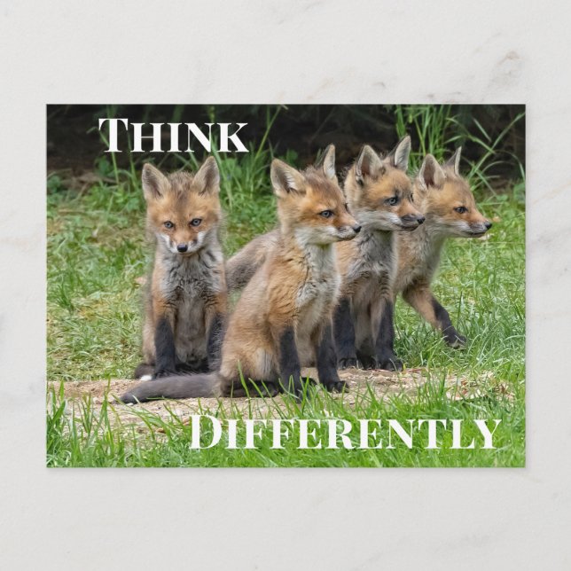  Think Differently Fox Postcard (Front)