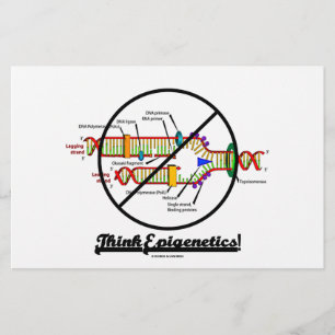 Think Epigenetics! (Cross Out DNA Replication)
