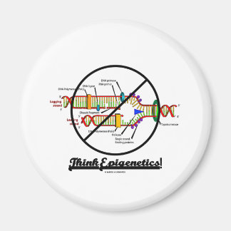 Think Epigenetics! (Cross Out DNA Replication) Magnet