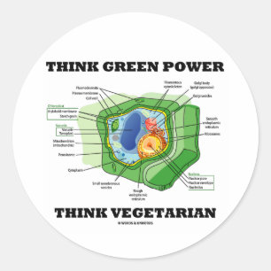Think Green Power Think Vegetarian (Plant Cell) Classic Round Sticker