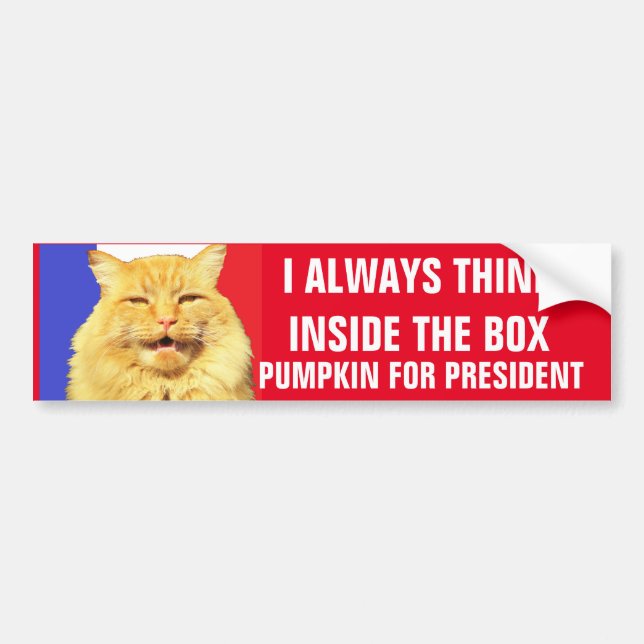 tHINK iNSIDE tHE bOX  Pumpkin for President Bumper Sticker (Front)