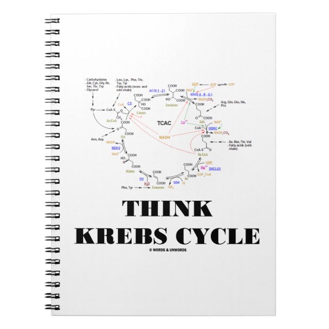 Think Krebs Cycle Citric Acid Cycle - TCAC Notebook (Front)
