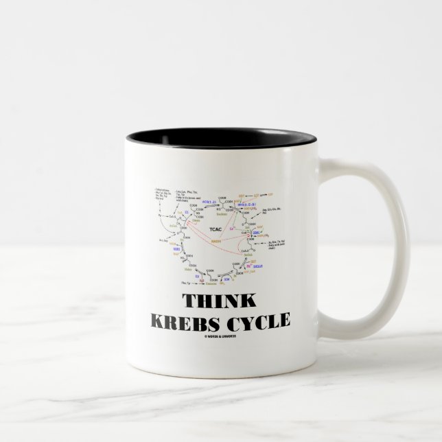 Think Krebs Cycle (Citric Acid Cycle - TCAC) Two-Tone Coffee Mug (Right)