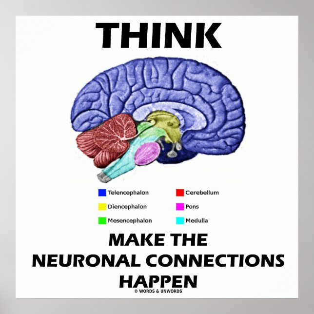 Think Make The Neuronal Connections Happen Poster (Front)