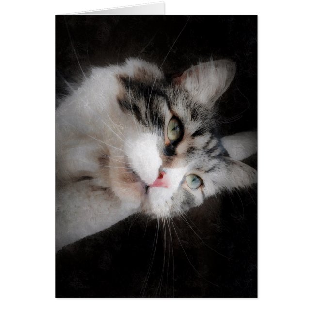 Think of You Card For Cat Lovers (Front)