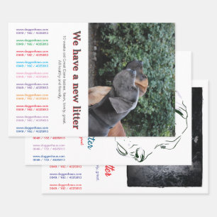 Think outside the box with this flyers  wrapping paper sheet