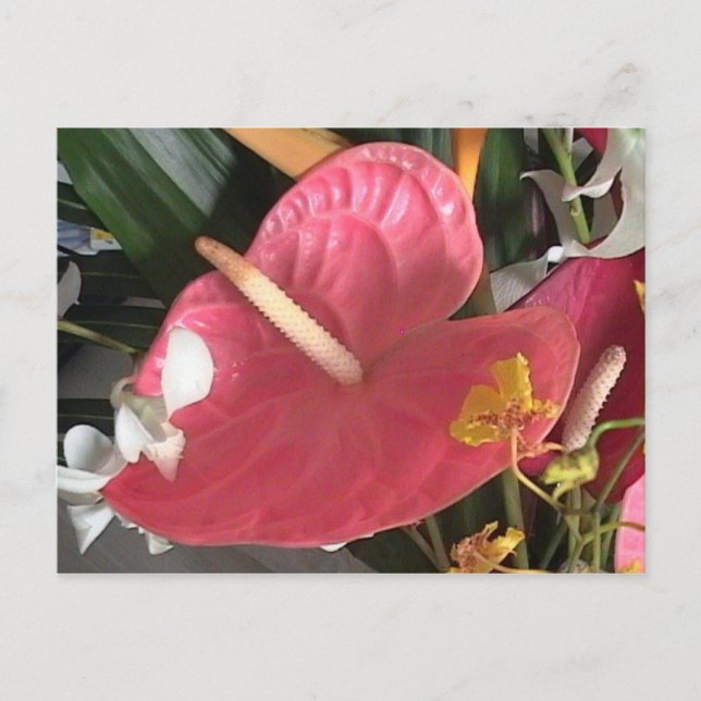 Think Pink Postcard (Front)