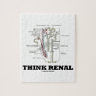 Think Renal (Nephron Anatomy Illustration)