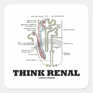 Think Renal (Nephron Anatomy Illustration) Square Sticker