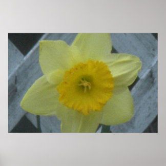 Think Spring! Poster