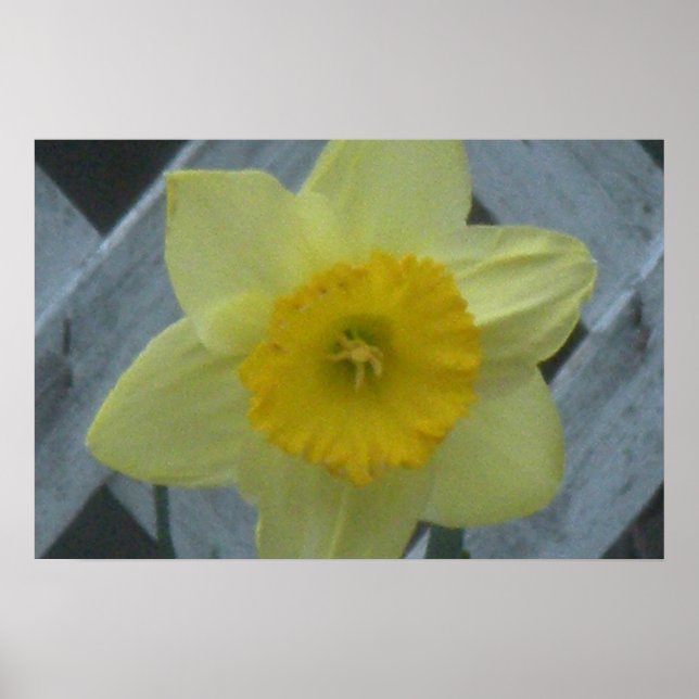 Think Spring! Poster (Front)