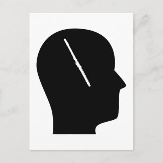 Thinking About Flute Postcard
