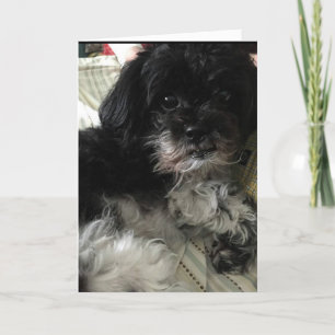 "THINKING ABOUT HOW MUCH I LOVE YOU!" LOVE CARD