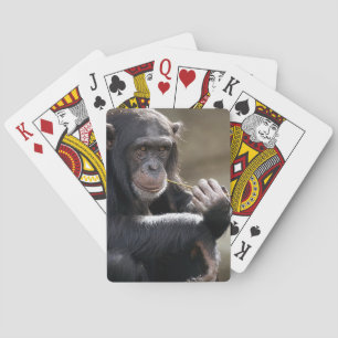 Thinking About Monkeying Around Playing Cards