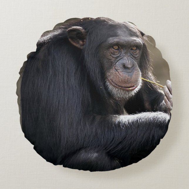 Thinking About Monkeying Around Round Cushion (Front)