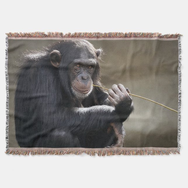 Thinking About Monkeying Around Throw Blanket (Front)