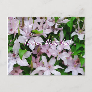 Thinking About You Clematis Purple Flowers Postcard