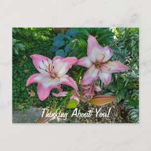 Thinking About You Pretty Pink Lilies Postcard
