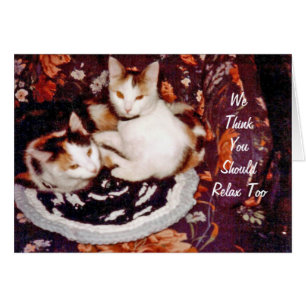Thinking Cats Card