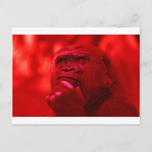 Thinking Gorilla Postcard