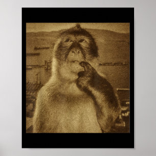 Thinking Monkey Meme Vintage Retro  Poster