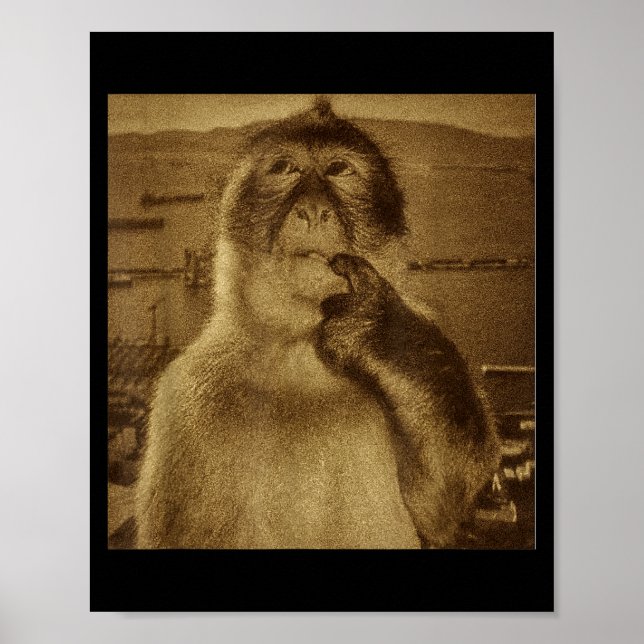 Thinking Monkey Meme Vintage Retro  Poster (Front)