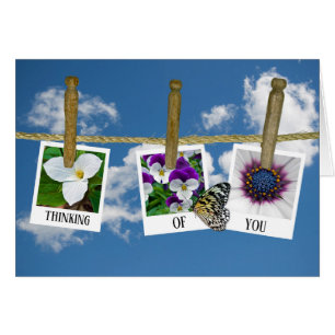 thinking o you floral photos on clothesline