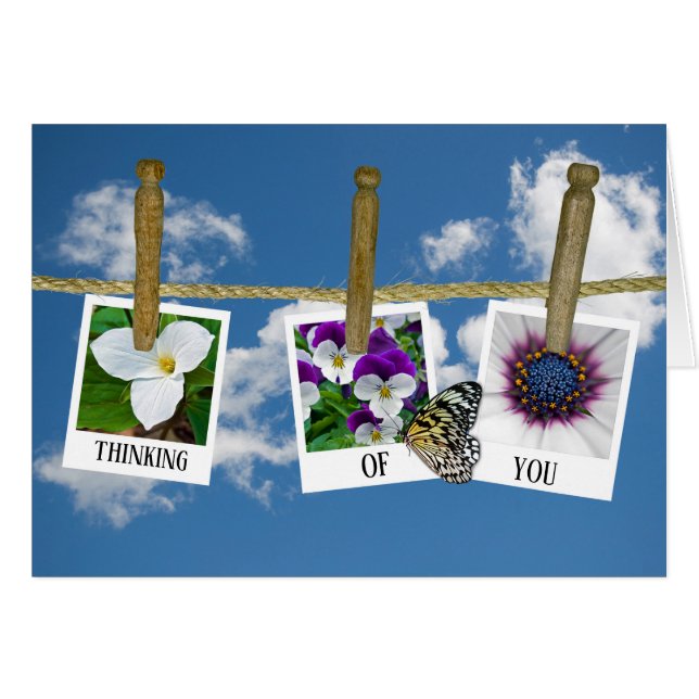 thinking o you floral photos on clothesline (Front Horizontal)