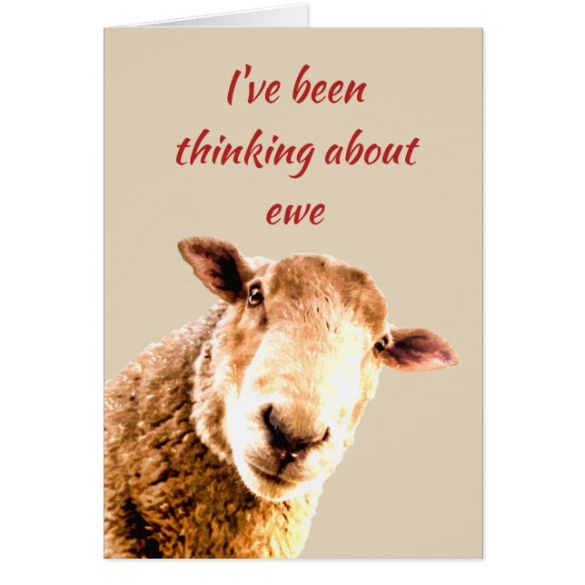 Thinking of  Ewe  Funny Sheep Animal Humour (Front)