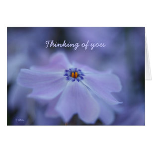 thinking of you