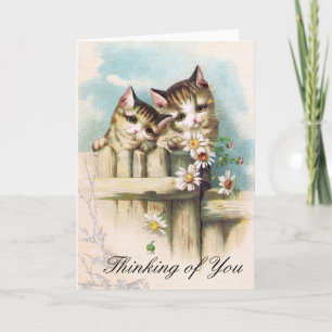 Thinking of you - 2 cute kittys card