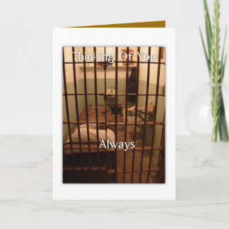 Thinking Of You Always Card