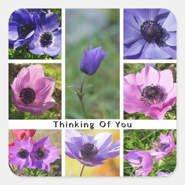 Thinking of You Anemone Photo Collage Square Sticker (Front)