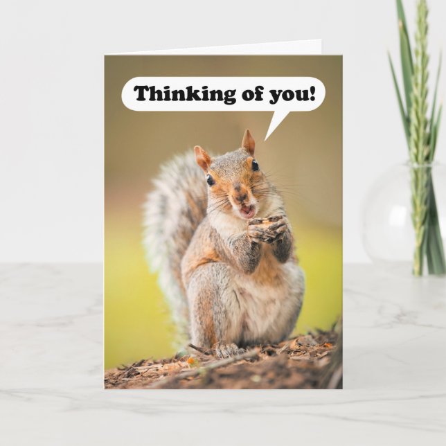 Thinking of You at Summer Camp  Talking Squirrel Holiday Card (Front)