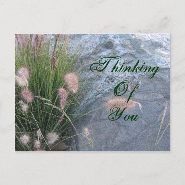 Thinking of You beach photo Postcard (Front)