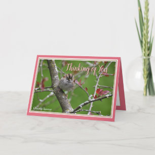 Thinking of you Beautiful Bird Greeting Card