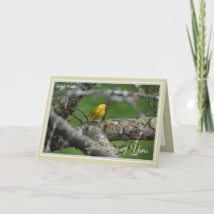 Thinking of you Beautiful Bird Greeting Card