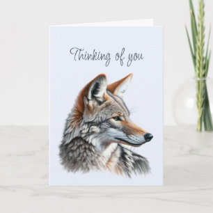 Thinking of You Beautiful Coyote Wildlife Animal  Card