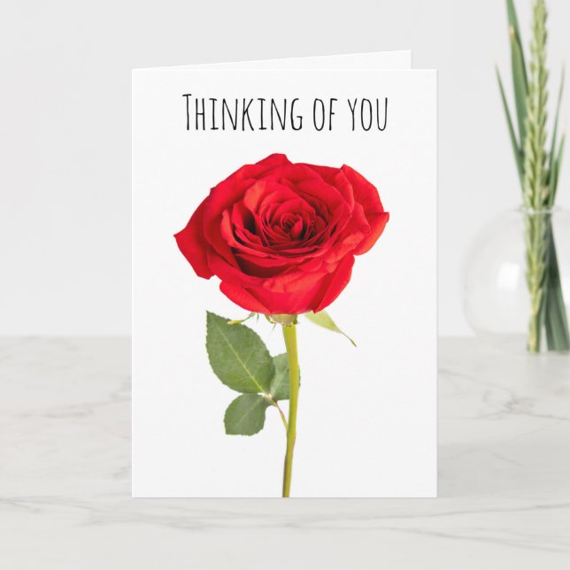 Thinking of You Beautiful Red Rose Holiday Card (Front)